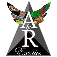 A&R Exotics