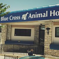 Blue Cross Animal Hospital