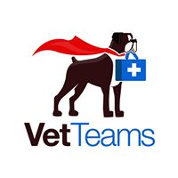 Vet Teams, LLC