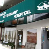 Sunset Veterinary Hospital