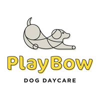 PlayBow Dog Daycare