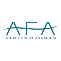 Aqua Forest Aquarium