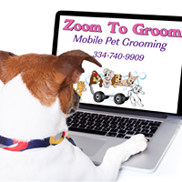 Zoom To Groom, LLC