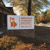 Arkansas Veterinary Emergency and Specialists