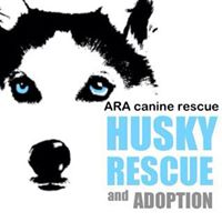 ARA Canine Rescue Inc, doing business as Alleys Rescued Angels