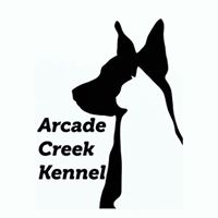 Arcade Creek Kennel