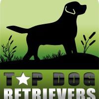 Top Dog Retrievers