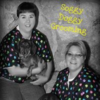 Soggy Doggy Grooming Inc.