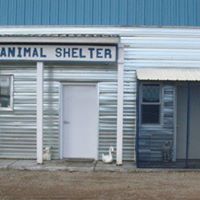 Cut Bank Animal Shelter