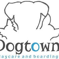 Dogtown Daycare & Boarding