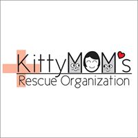 KittyMOM’s Rescue Organization