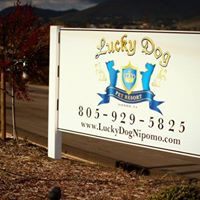 Lucky Dog Pet Resort