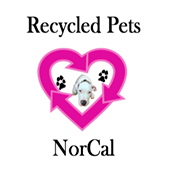 Recycled Pets NorCal