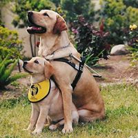 Guide Dogs of America