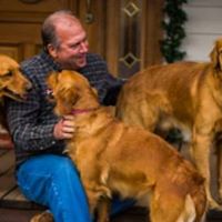 Arkansas Golden Retrievers