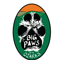 Big Paws of The Ozarks