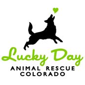 Lucky Day Animal Rescue