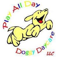 Play All Day Doggy Daycare – Portsmouth