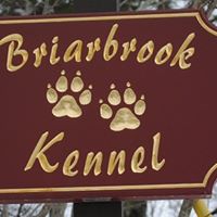 Briarbrook Kennel