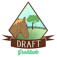 Draft Gratitude