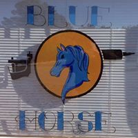 Blue Horse Body Art