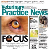 Veterinary Practice News