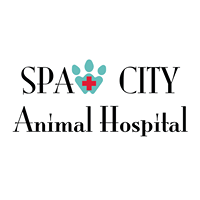 Spaw City Animal Hospital