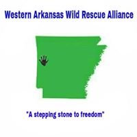 Western Arkansas Wild Rescue Alliance