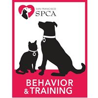 SF SPCA Behavior & Training