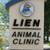 Lien Animal Clinic