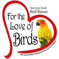 For The Love Of Birds – New Jersey Exotic Bird Rescue