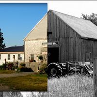 The Barn Doggie Daycare