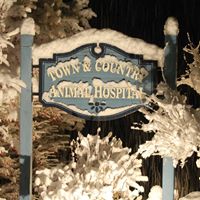 Town & Country Animal Hospital