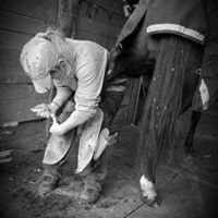 Raven Hollow Farrier Services LLC