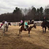 Green Acres Stable NH