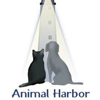 Animal Harbor