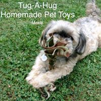 Tug-A-Hug Homemade Pet Toys