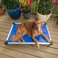 Kuranda Dog Beds