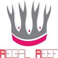 Regal Reef Coral and Fish