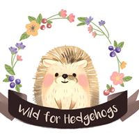 Wild For Hedgehogs