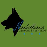 Nadelhaus German Shepherds