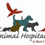 The Animal Hospital and Bird Clinic