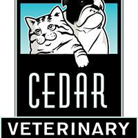 Cedar Veterinary Hospital