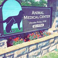 Animal Medical Center