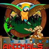 Amazing Animals Inc.