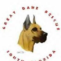 Great Dane Rescue of South Florida