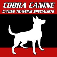 Cobra Canine