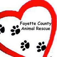 Fayette County Animal Rescue