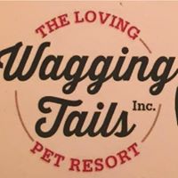 Wagging Tails pet resort