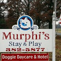 Murphi’s Stay and Play Doggie Hotel & Daycare